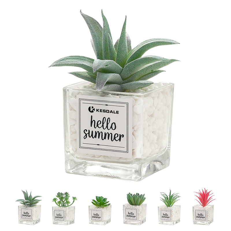 Mini Artificial Succulent Plant With Glass Pot