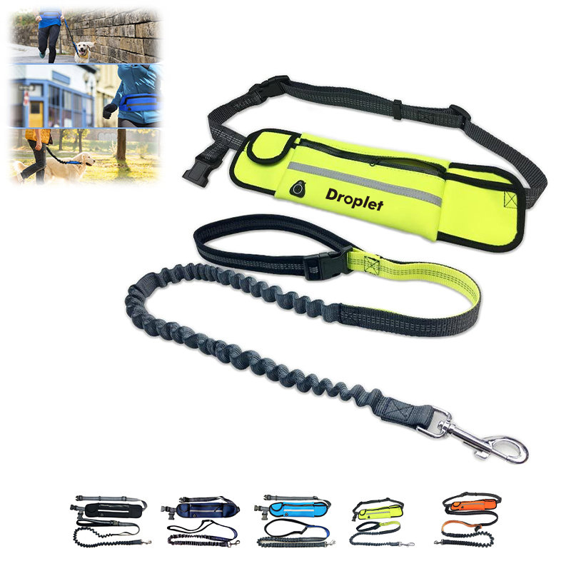 Hands Free Dog Leash With Pouch