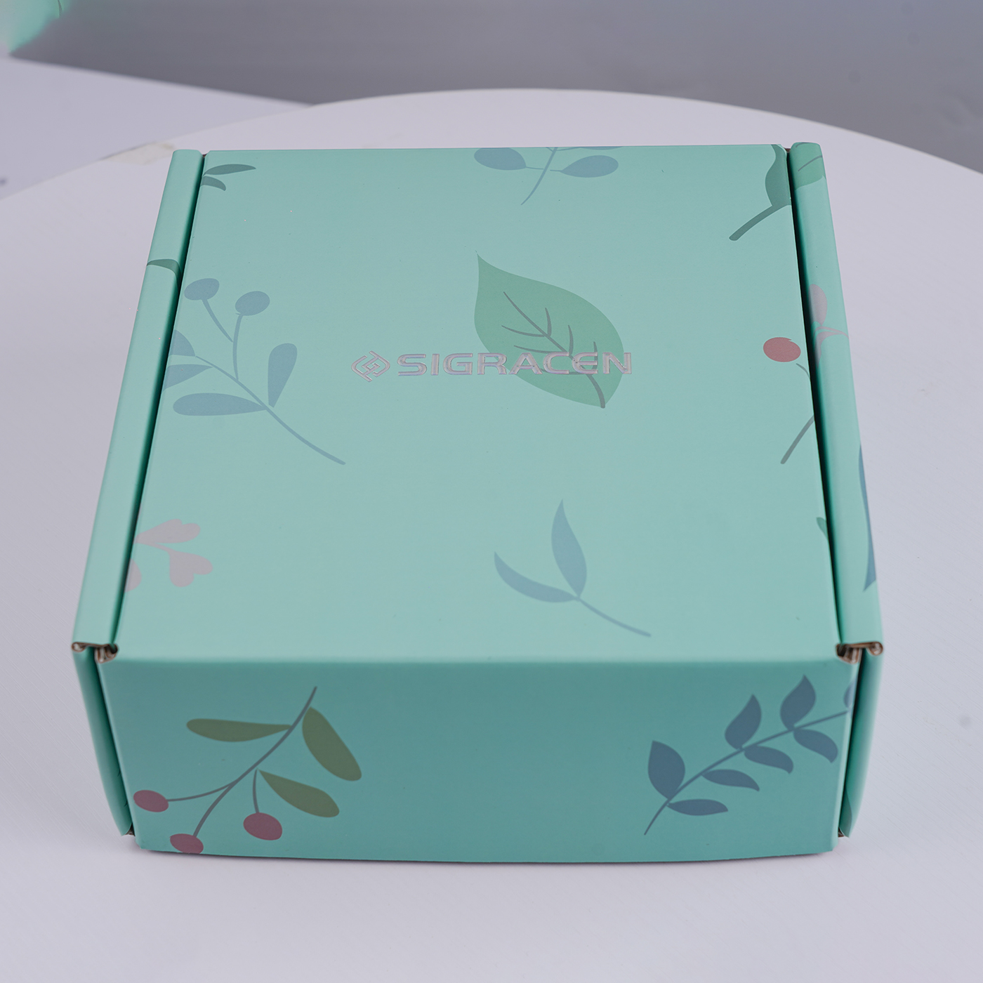 Small Custom Shipping Packaging Box4