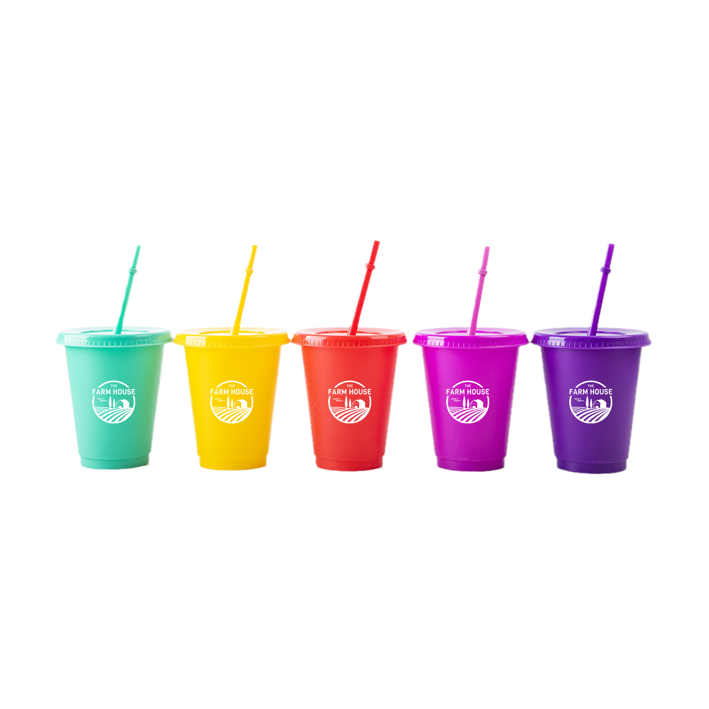 16 oz. Plastic Tumbler With Lid And Straw