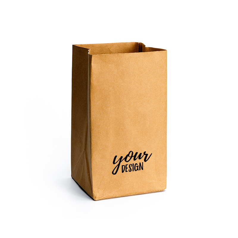 Custom Small Kraft Brown Paper Grocery Bag1