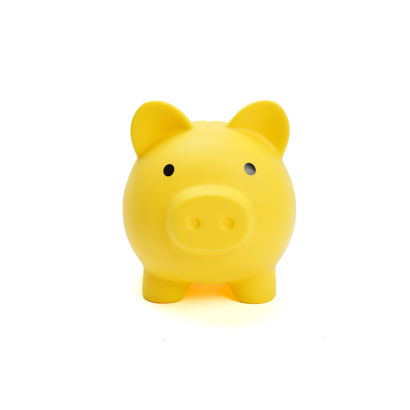 Custom Big Piggy Bank2