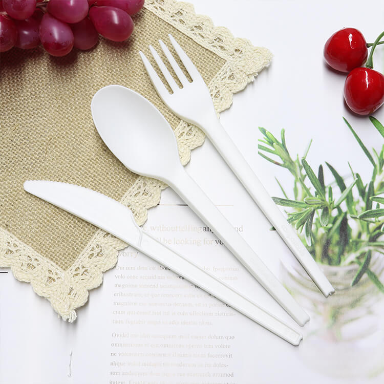 Custom Disposable Biodegradable Cutlery Set1