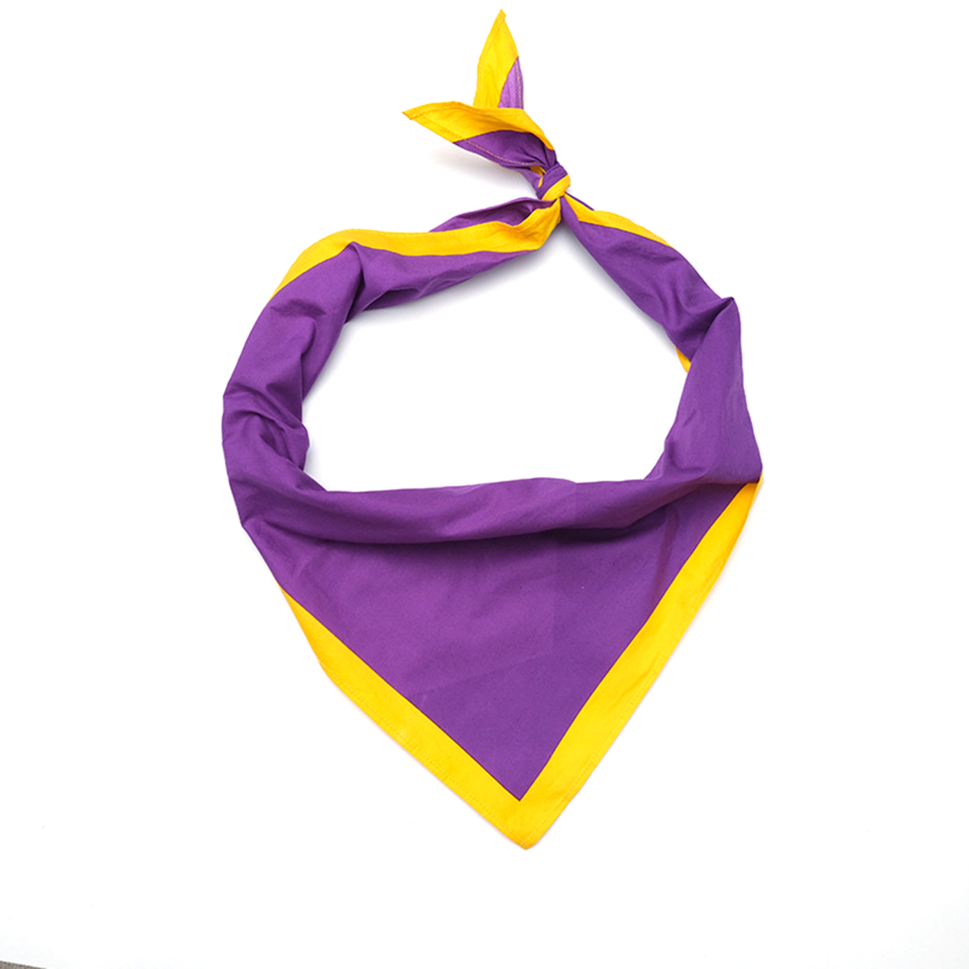 Outdoor Decorative Triangle Bandana