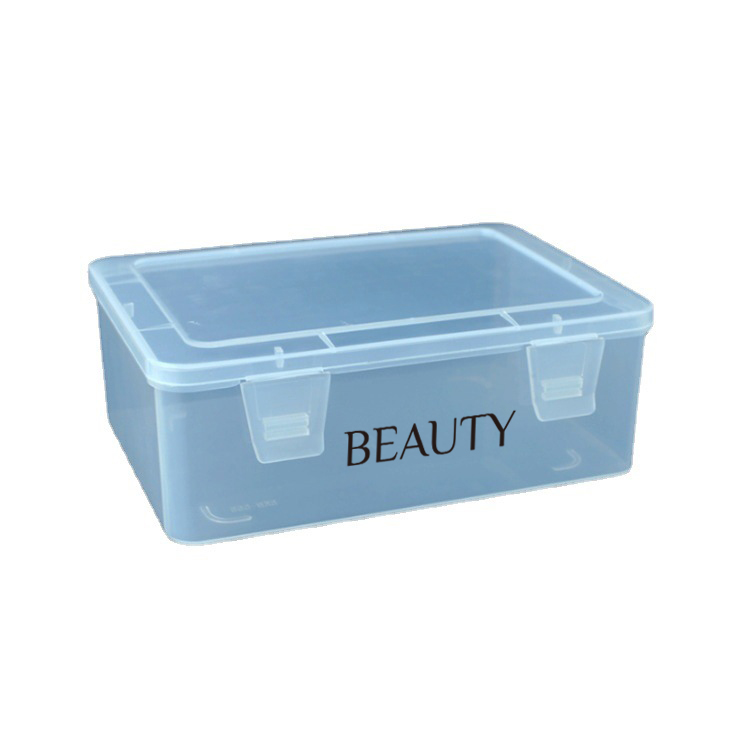 Custom Rectangular Clear Flip Top Storage Box