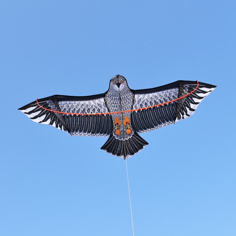 Eagle Shaped Kite With String Reel2