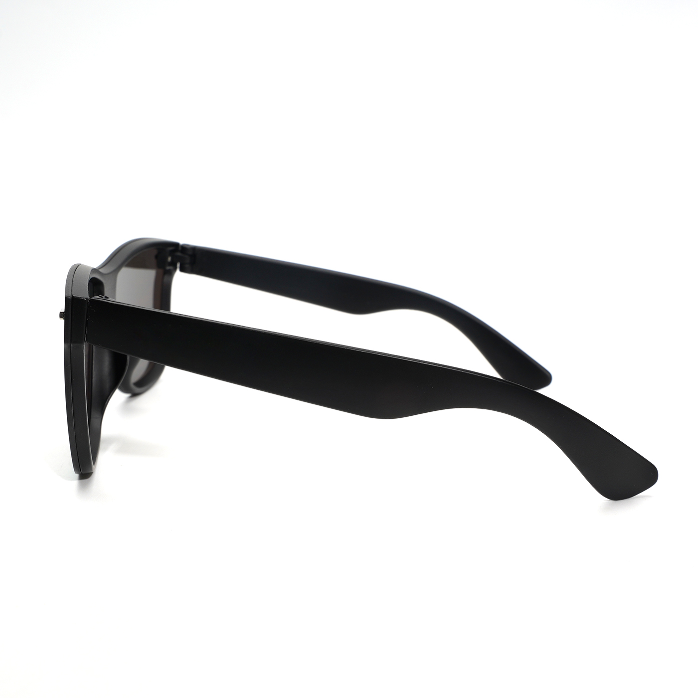 Horned Rim Polarized Sunglasses2