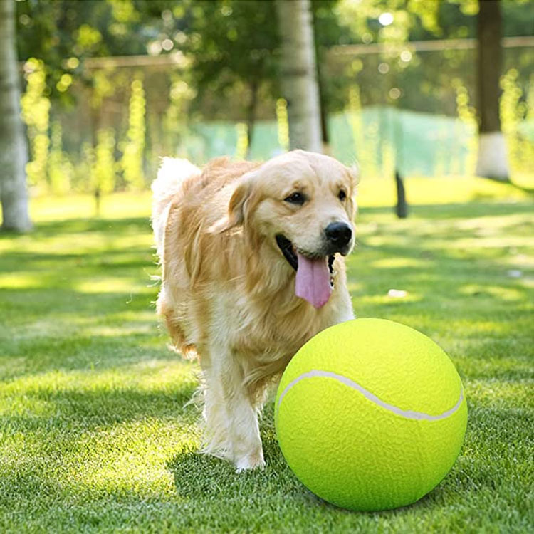 Training Tennis Ball2