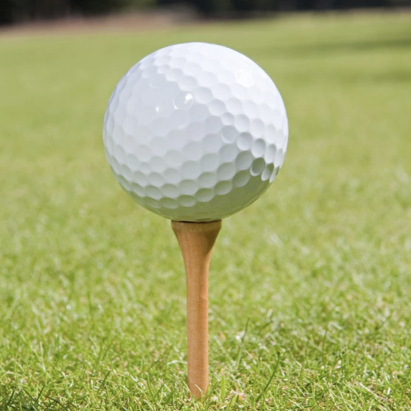 2pcs Golf Ball With Plastic Tube1