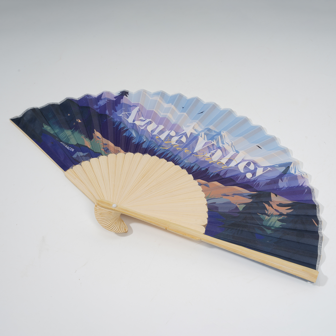 Handheld Fabric Folding Fan3