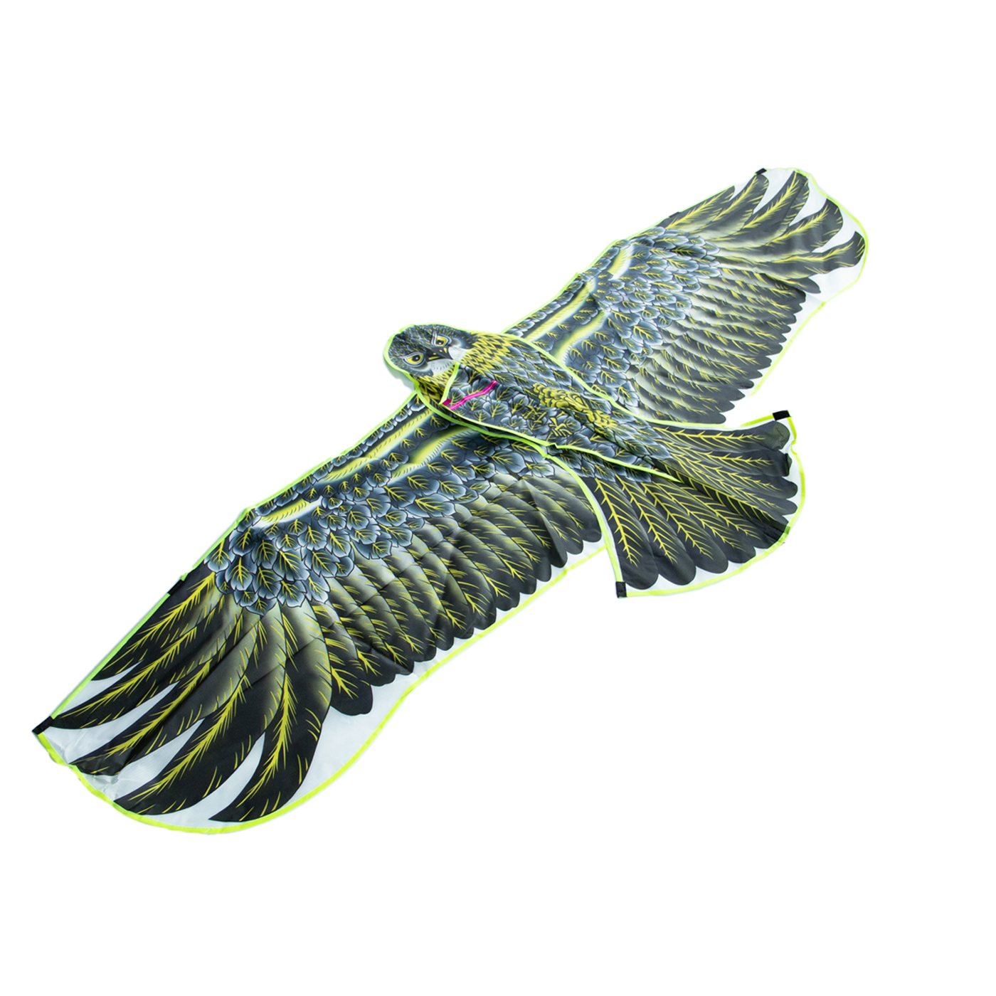 Large Eagle Shaped Flying Kite1